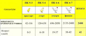 ¿Cómo alimentar a los pollos de engorde grandes y sanos?