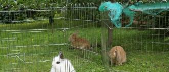 There are also enclosures for rabbits!