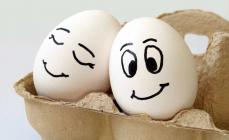 To keep eggs fresh: store and check them correctly How to check the freshness of chicken eggs in water